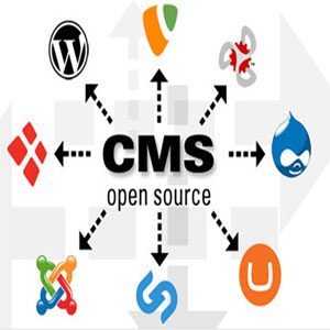 چرا استفاده از cms های آماده در طراحی وب بهتر است ؟
